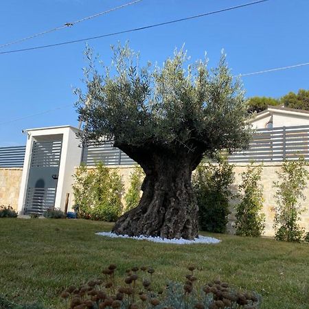 Villa Palladino Rooms 焦维纳佐 外观 照片